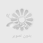 راهنماي جامع خريد دانه آفتابگردان مرغوب؛ خام يا روغني